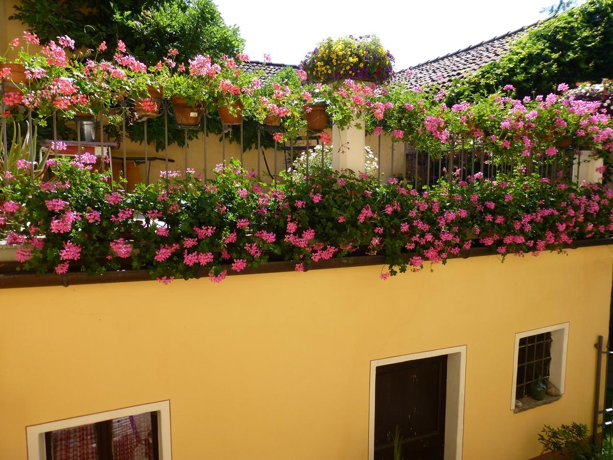 Chez Marianne "Chambres D'Hotes" Astano Exterior foto